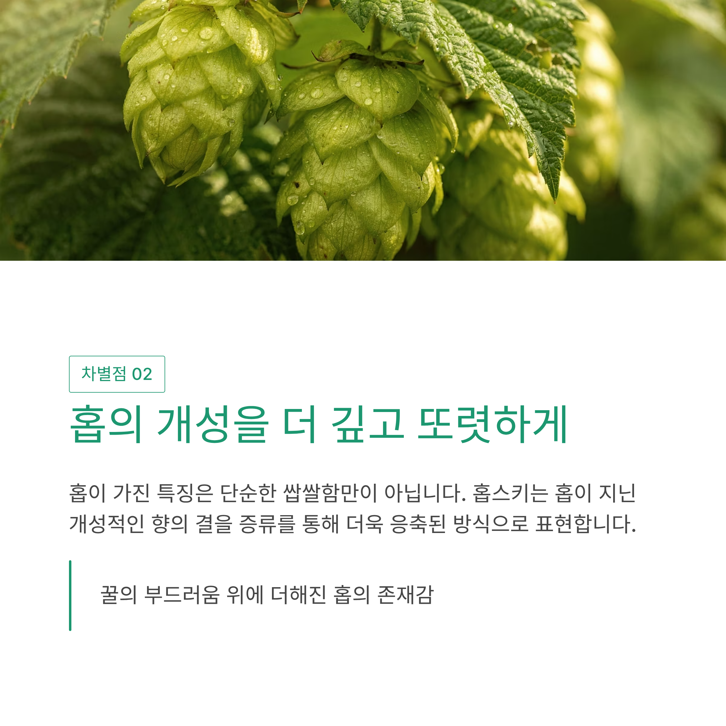 홉스키