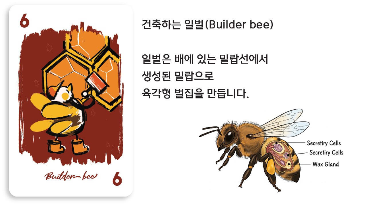 7c6ad9025001f.jpg