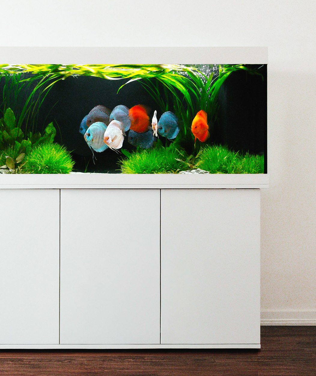 Juwel aquarium equipped with G-Line lighting