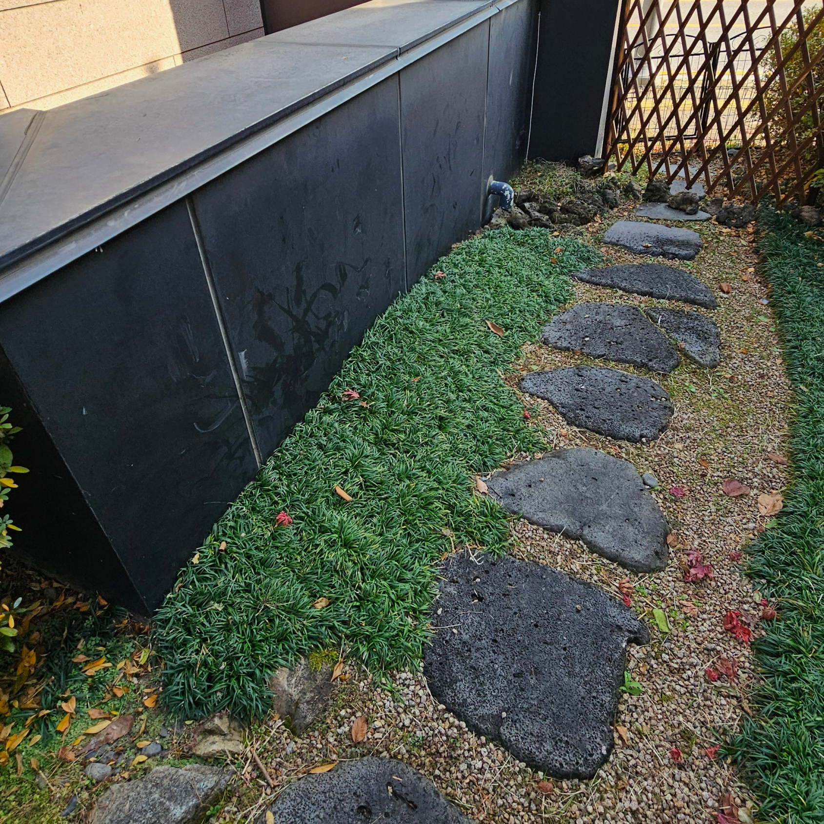 18220f3c9a54d.jpg