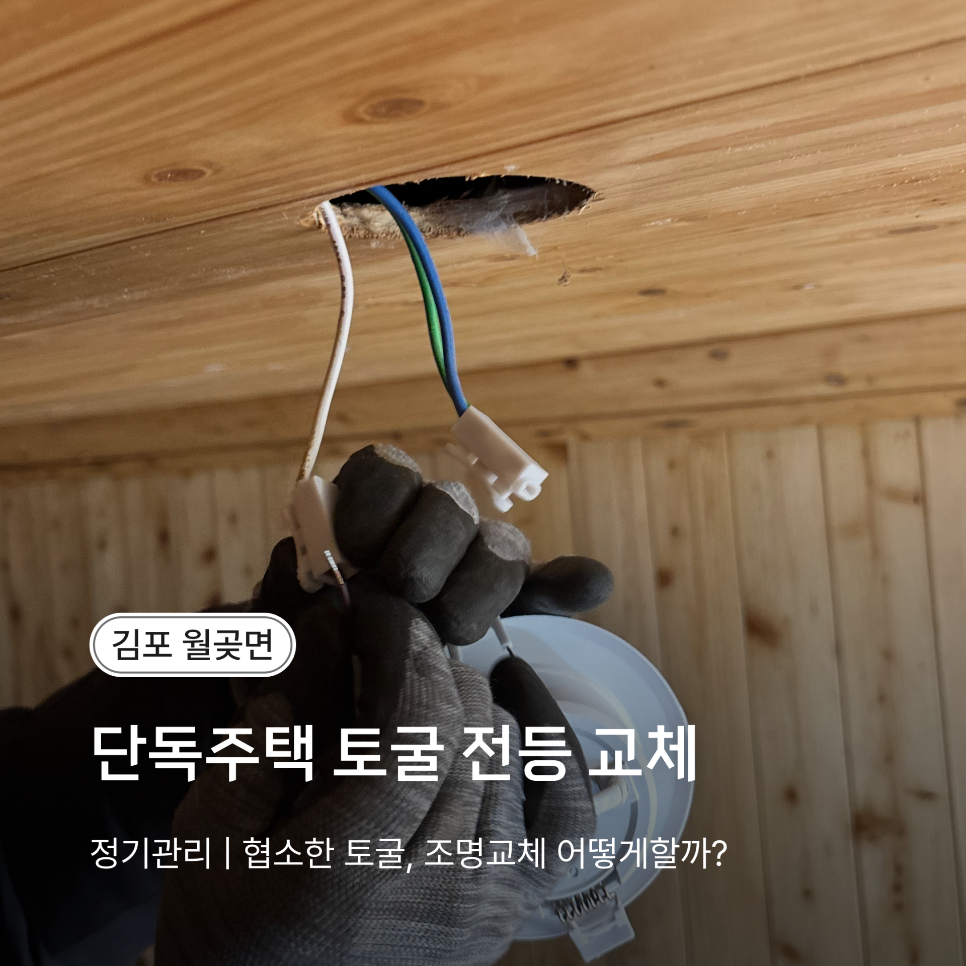 1bbe745c75995.png