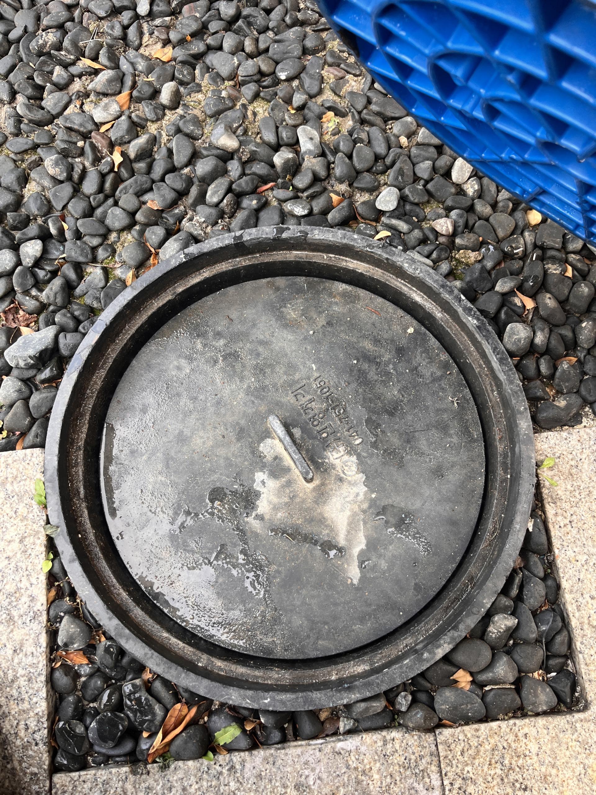 337746c2d9263.jpg