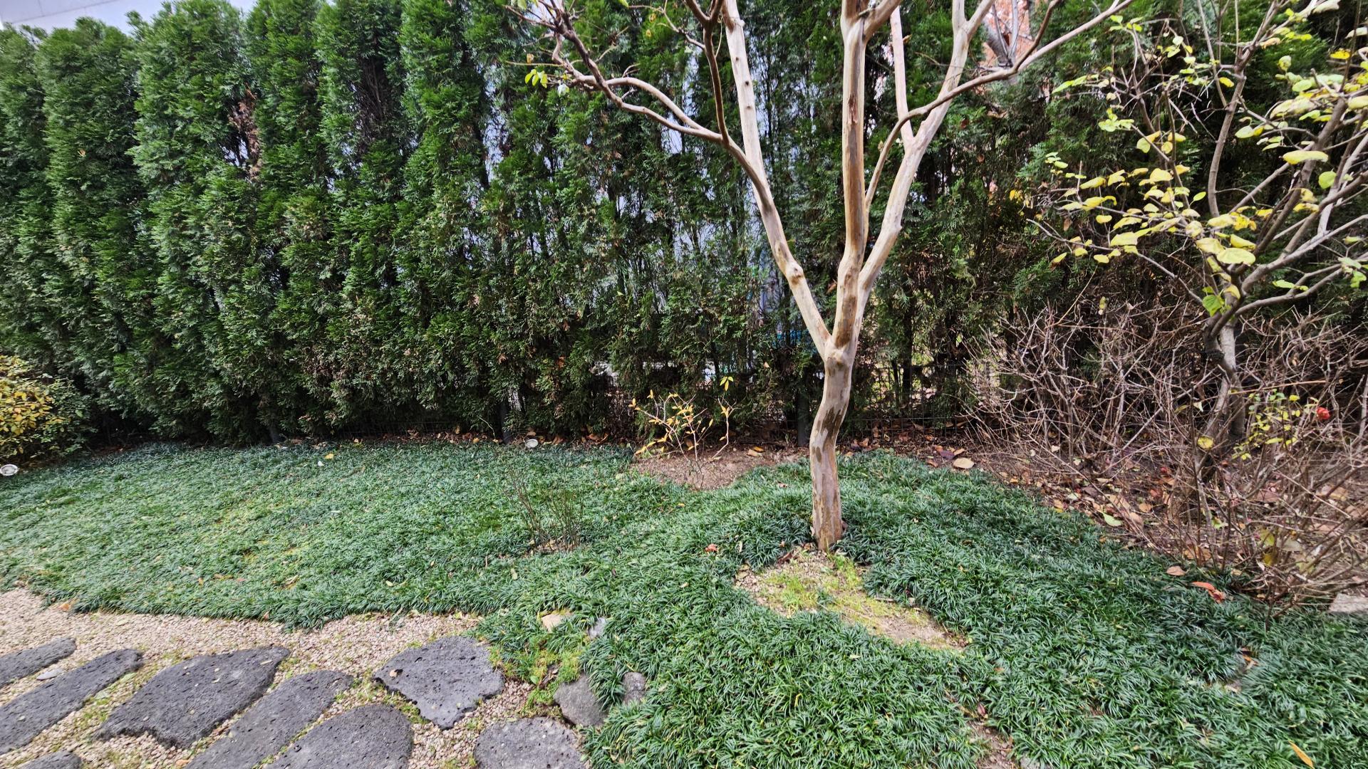 4692e6a057746.jpg