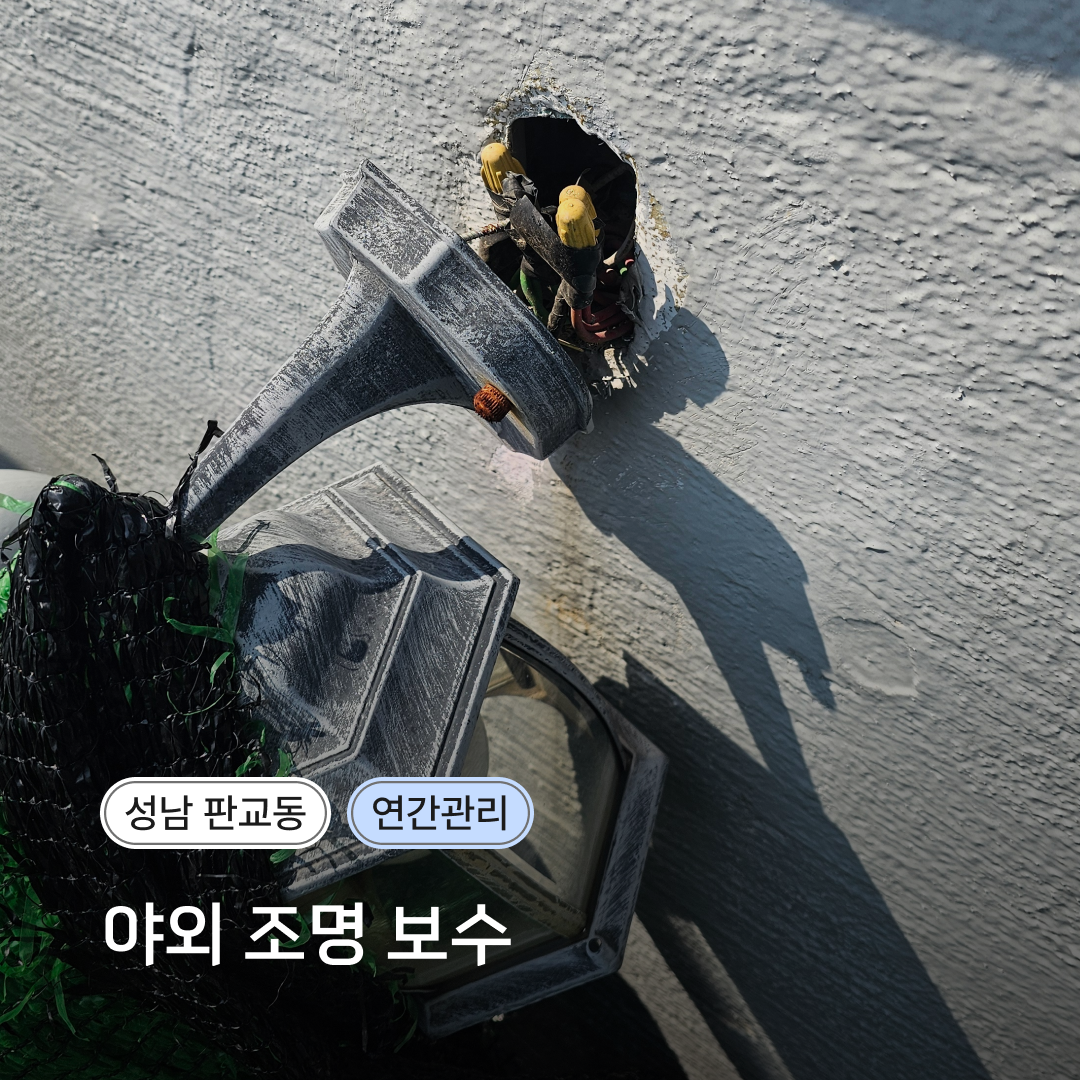 88b208ab18b49.png