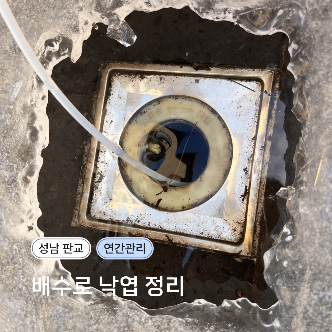 8a8405d980bdf.png