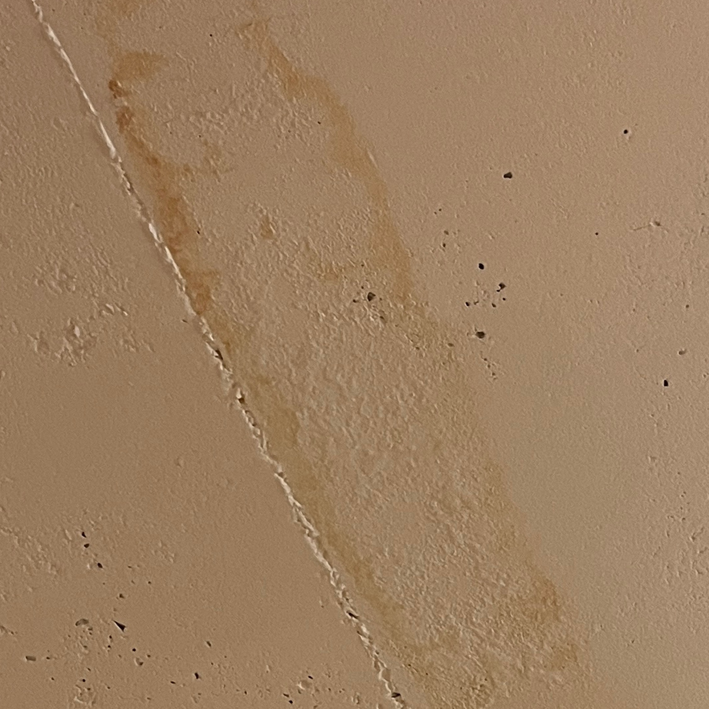 9204068aa1584.png