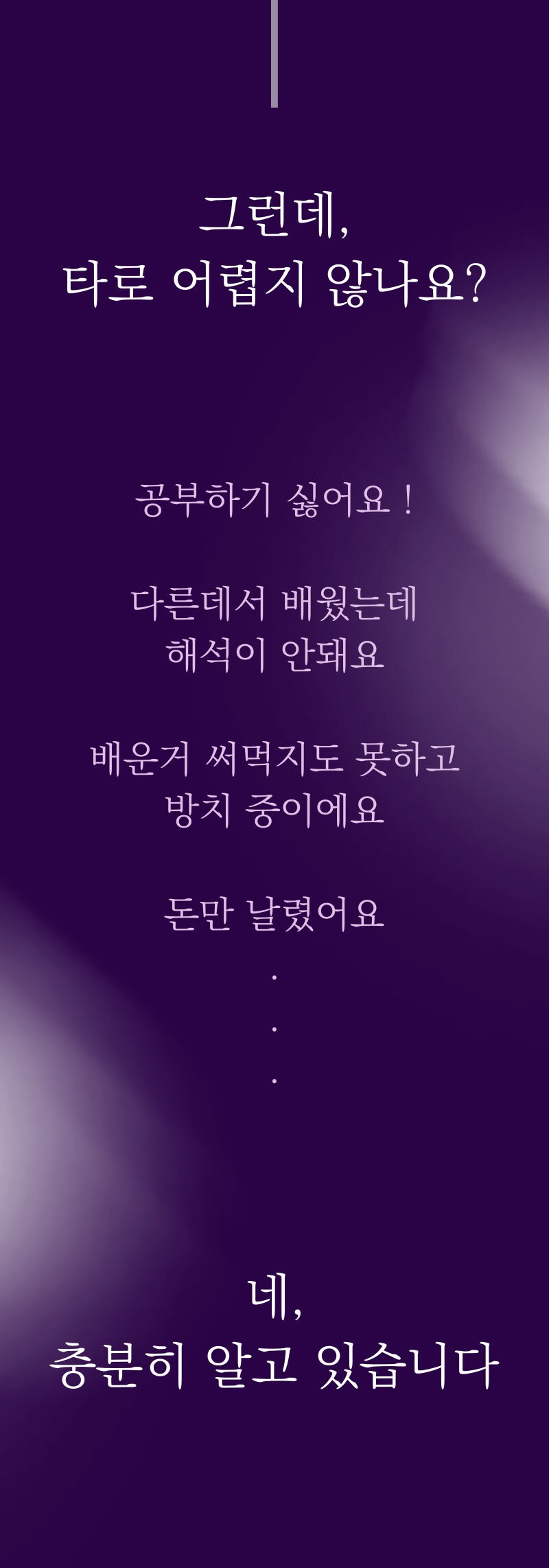 이미지 설명이 없습니다.