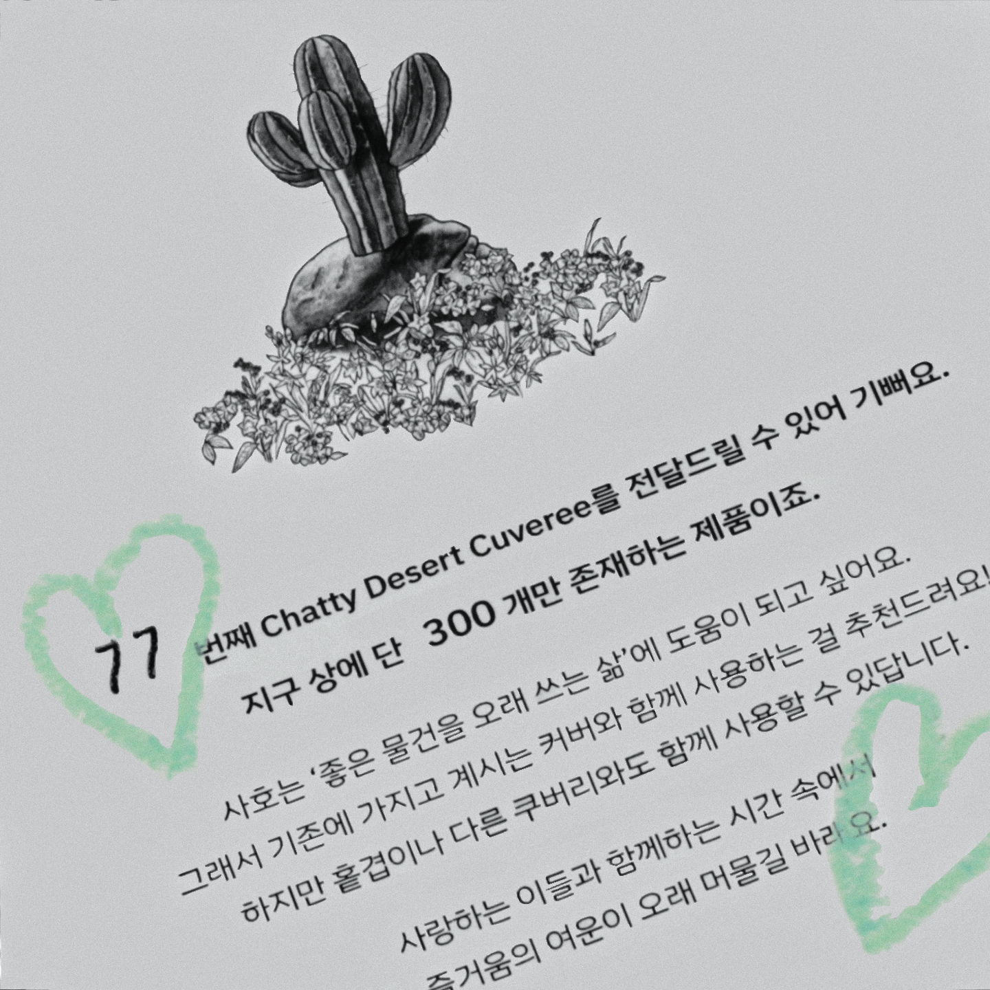 한정 수량