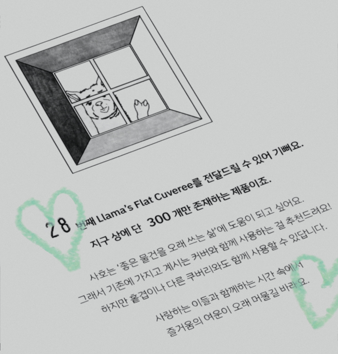 한정 수량