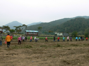 2-12-10P1090560.JPG