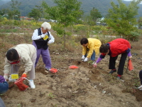 7DSC02689.JPG
