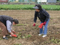 210P1090567.JPG