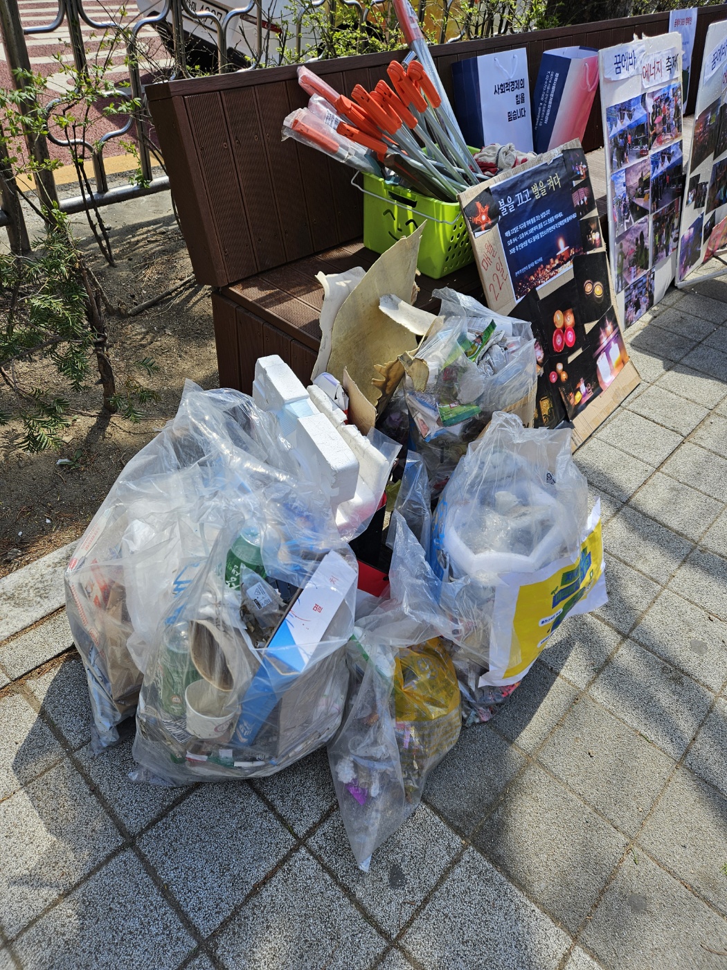 4ffd2d0824c67.jpg