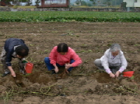 210P1090566.JPG