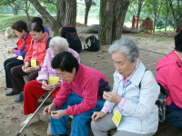 7-134P1090602.JPG