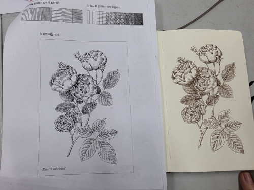 a0c009447192a.jpg
