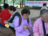 7-134P1090600.JPG