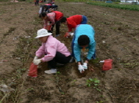 210P1090571.JPG