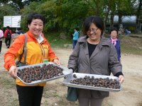7-134P1090598.JPG