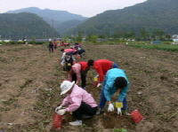 210P1090572.JPG