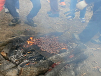 7-134P1090594.JPG