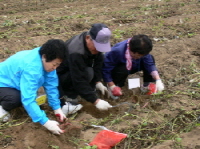 210P1090570.JPG