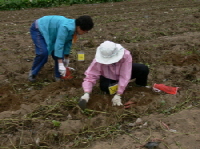 210P1090568.JPG