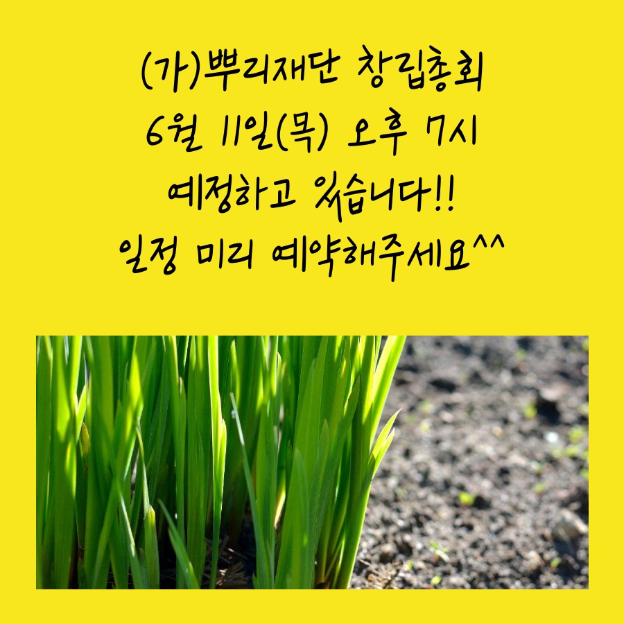 KakaoTalk_20200526_095331369.jpg