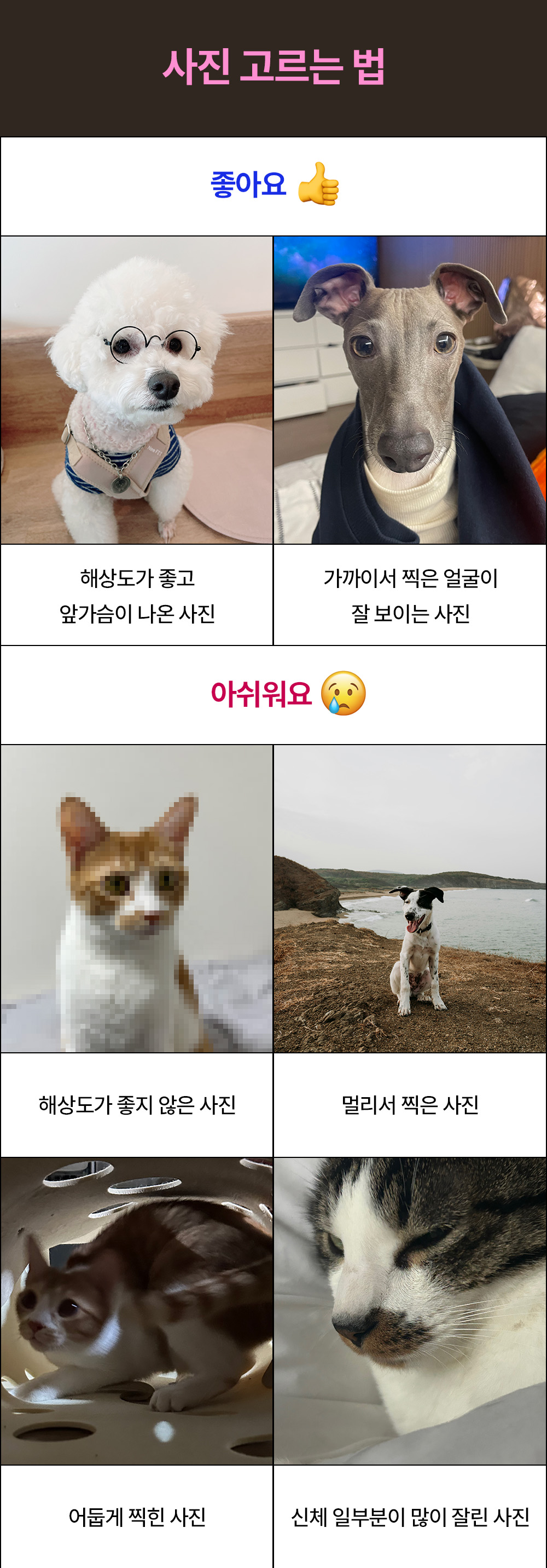 [예약주문] 붙이면 귀여워서 조금 덜 아플수도...일회용 반창고