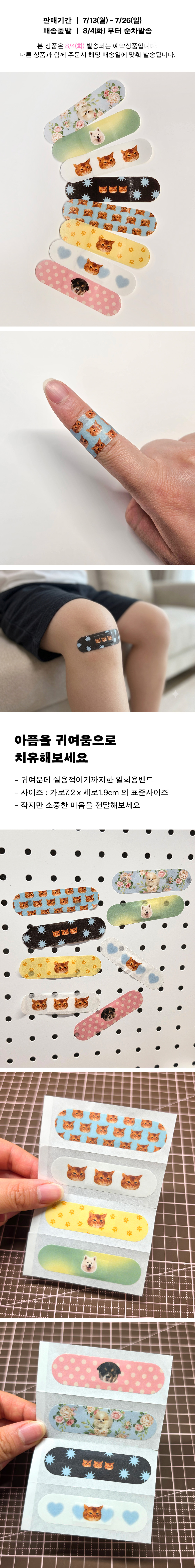 [예약주문] 붙이면 귀여워서 조금 덜 아플수도...일회용 반창고