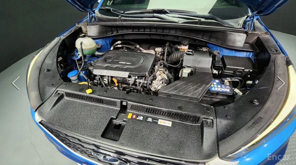 f979105cd2263.jpg