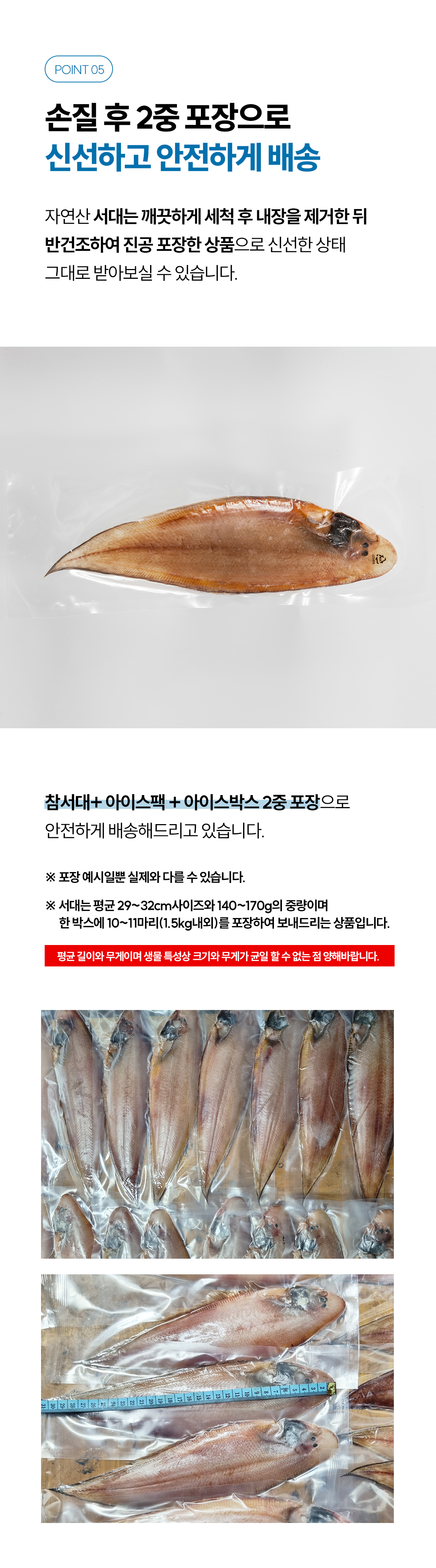 반건조 참서대 5마리 / 10마리 : 여수 화태바다야수산