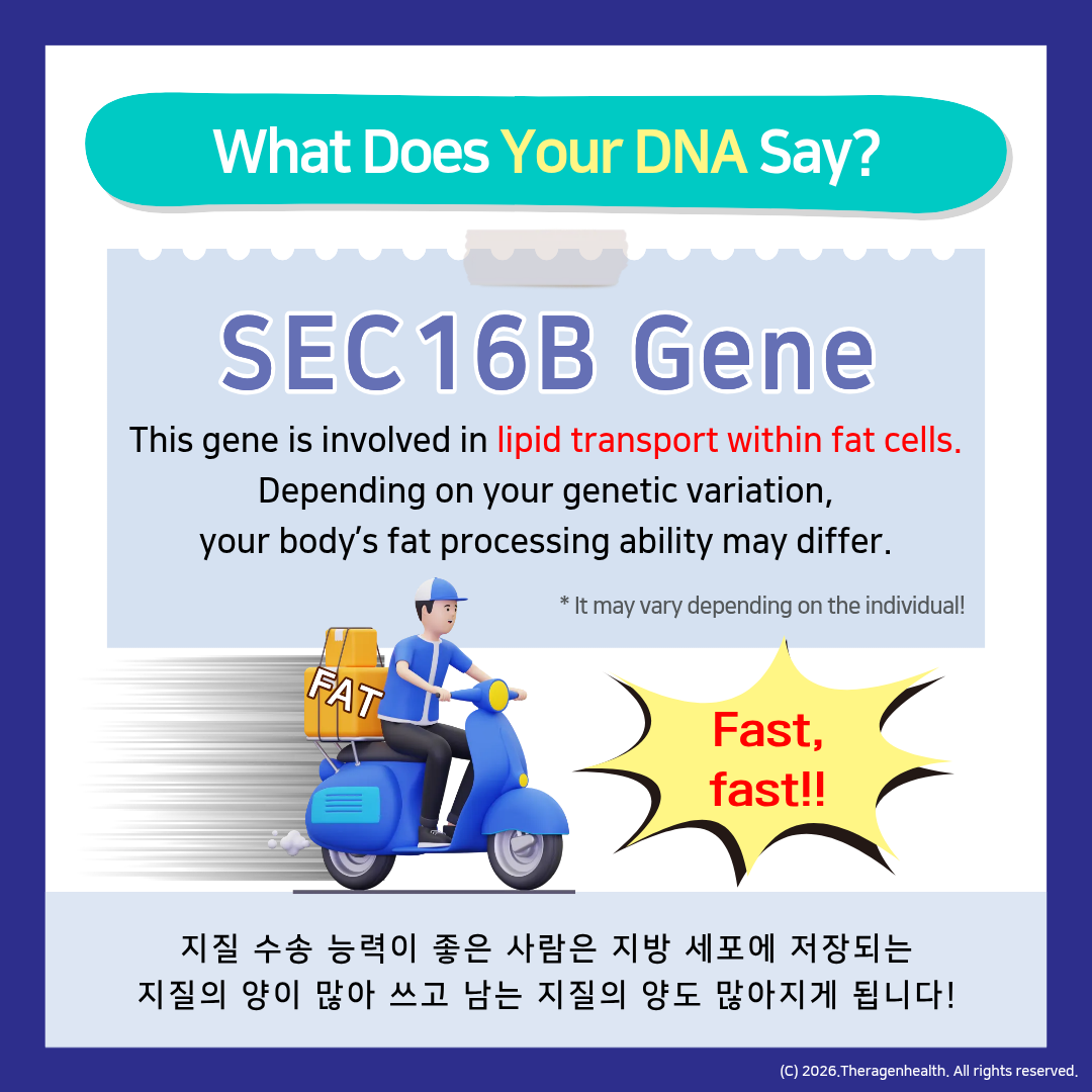 2e9614335c686.png