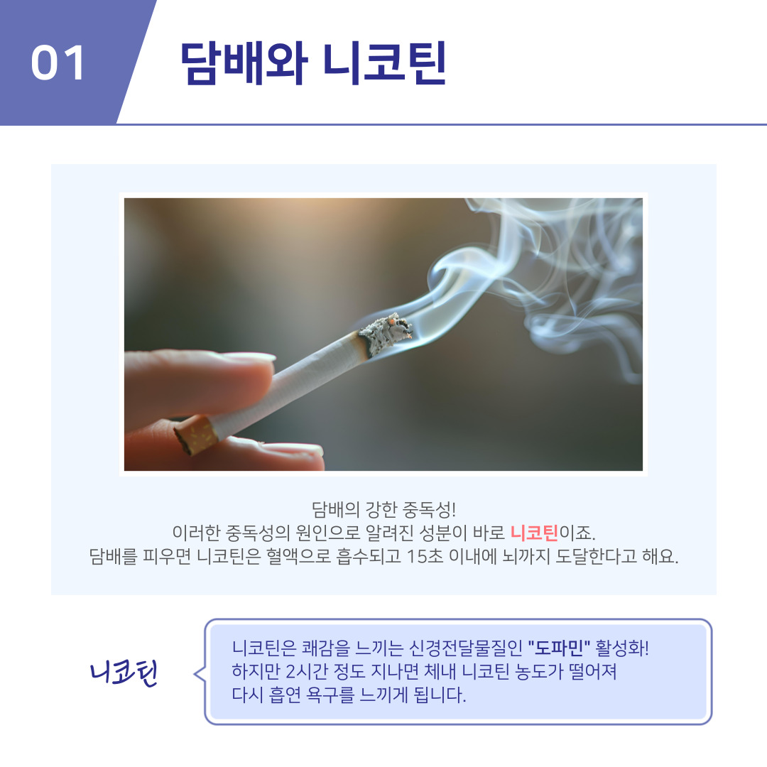 54eb56660d0ab.jpg