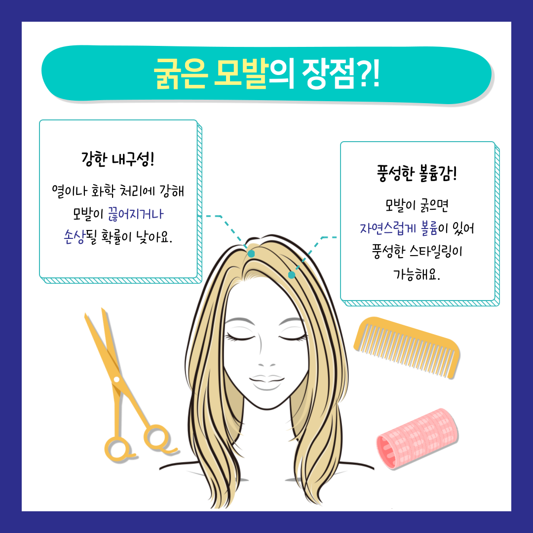 9386761bfb33c.png