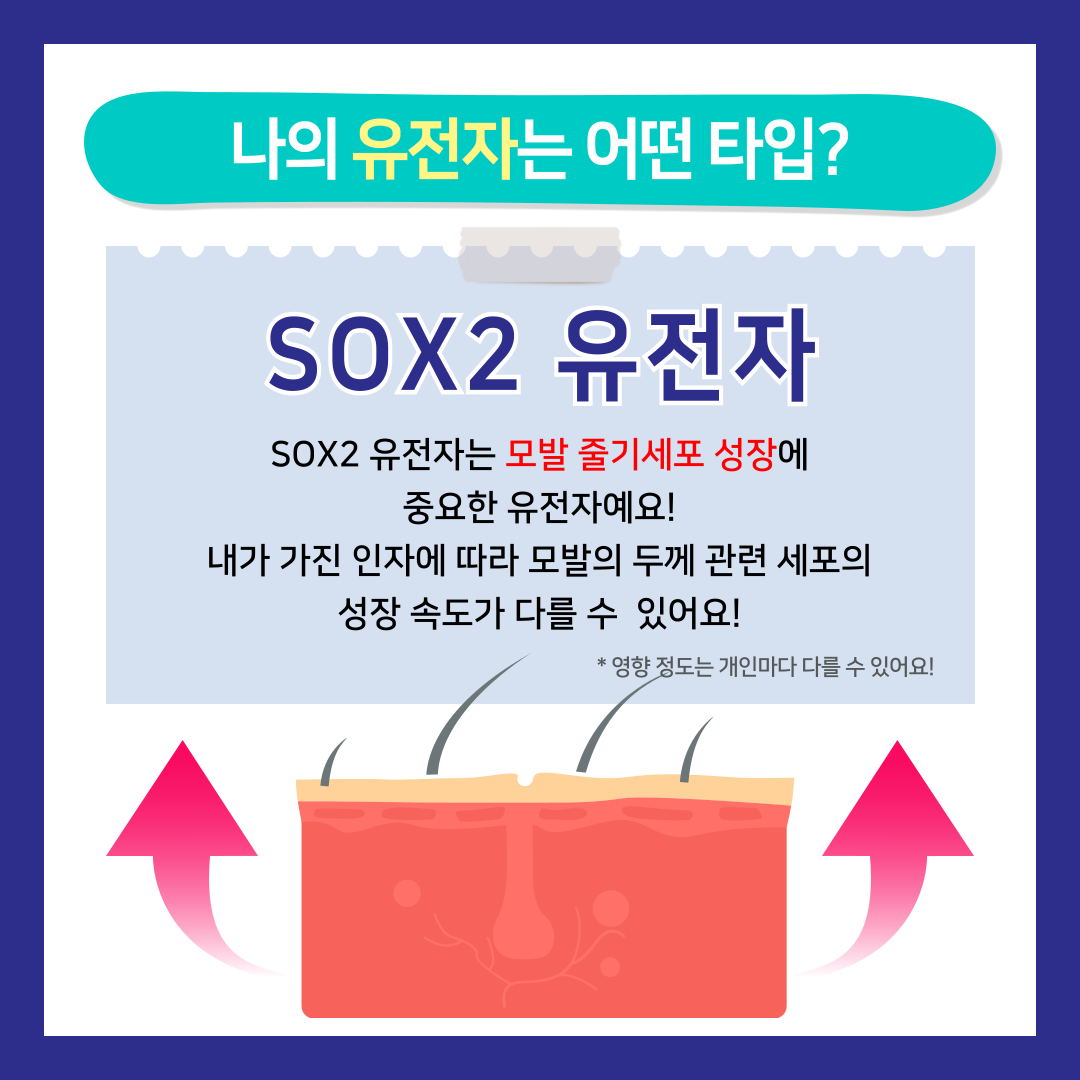 a07846d1e84dd.png
