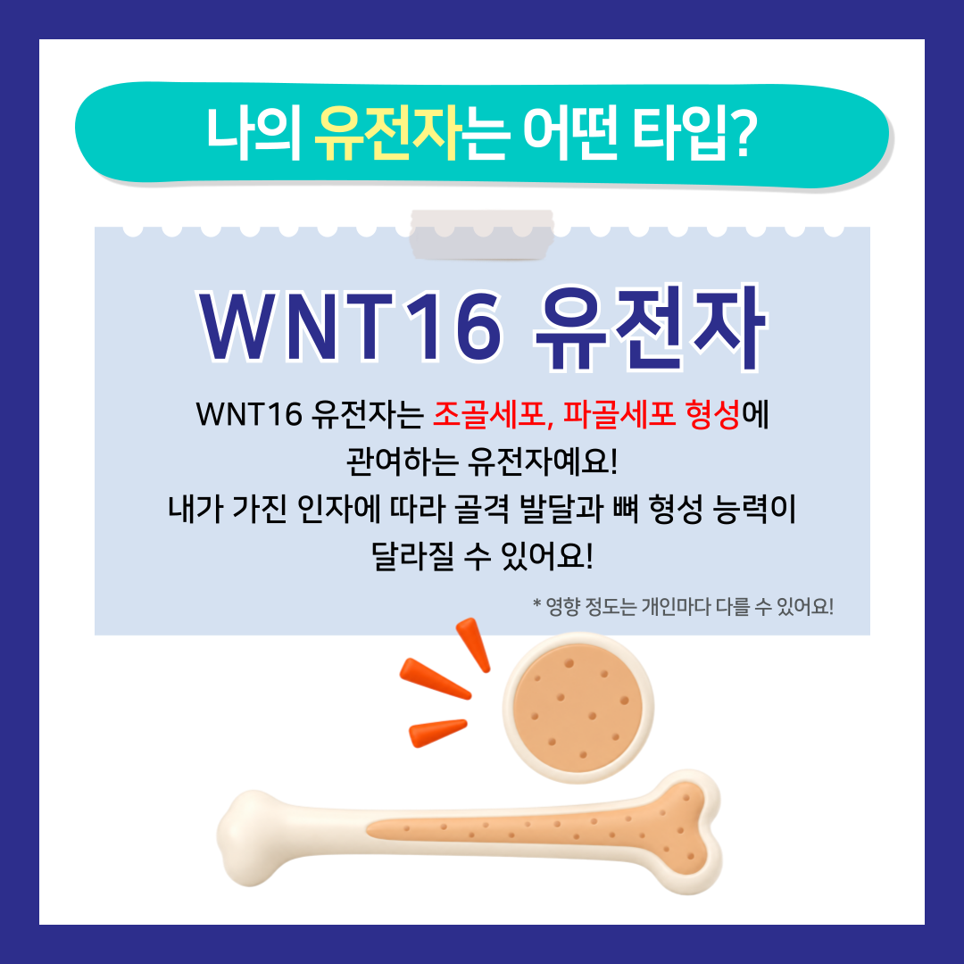 c4102db526796.png