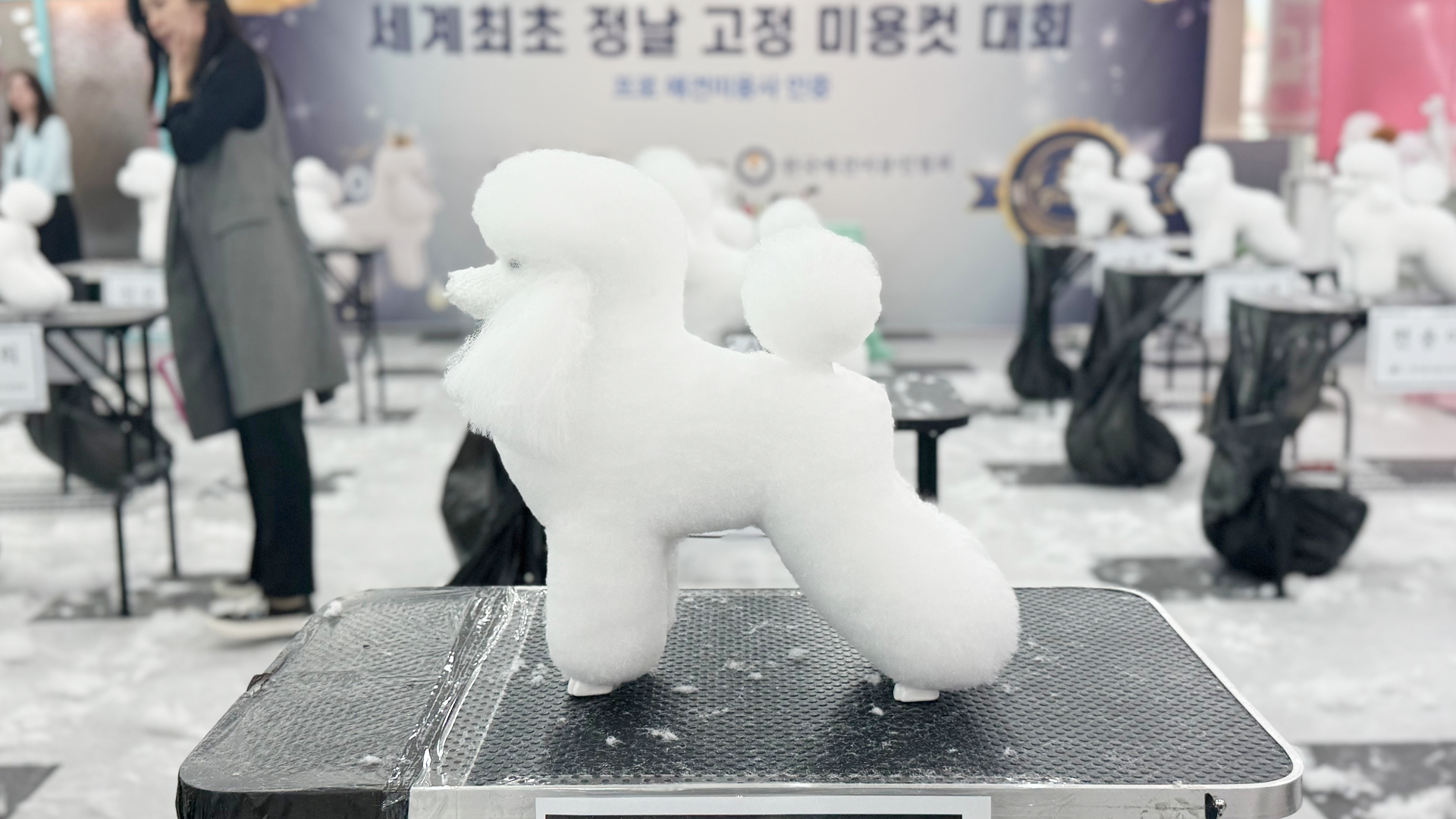 3d99545d3bf32.png
