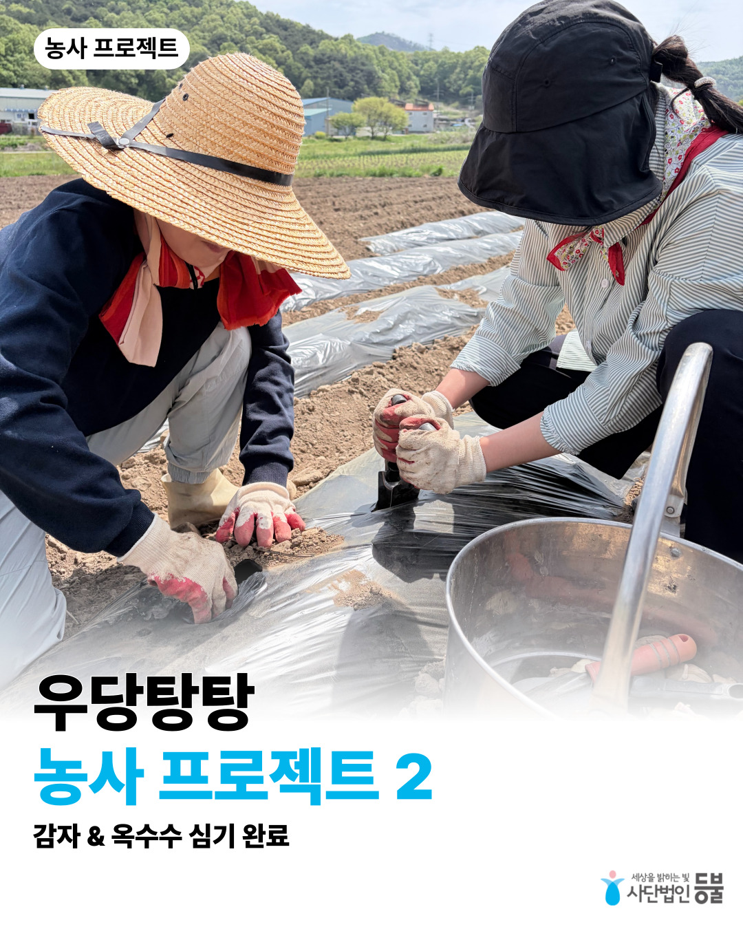 71415fbcc879a.jpg