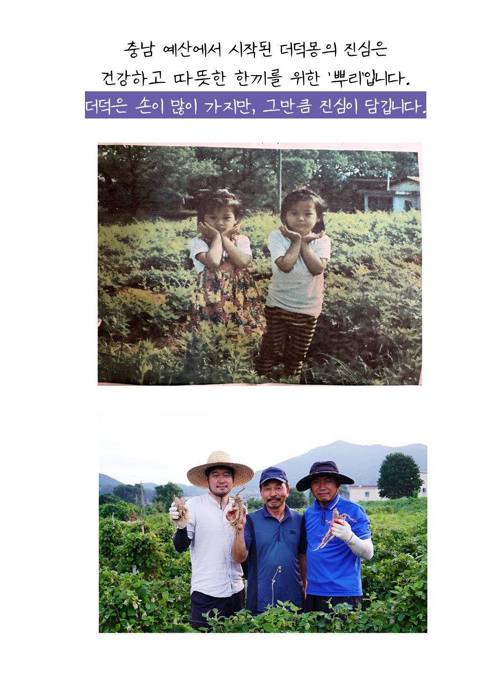 [농장직송]더덕라떼 베이스 20g [더덕몽]