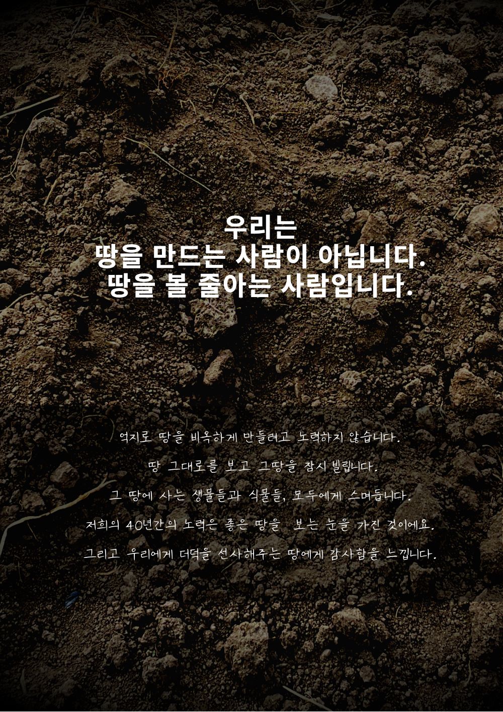 [농장직송]더덕라떼 스틱 20g x 10개입 [더덕몽]