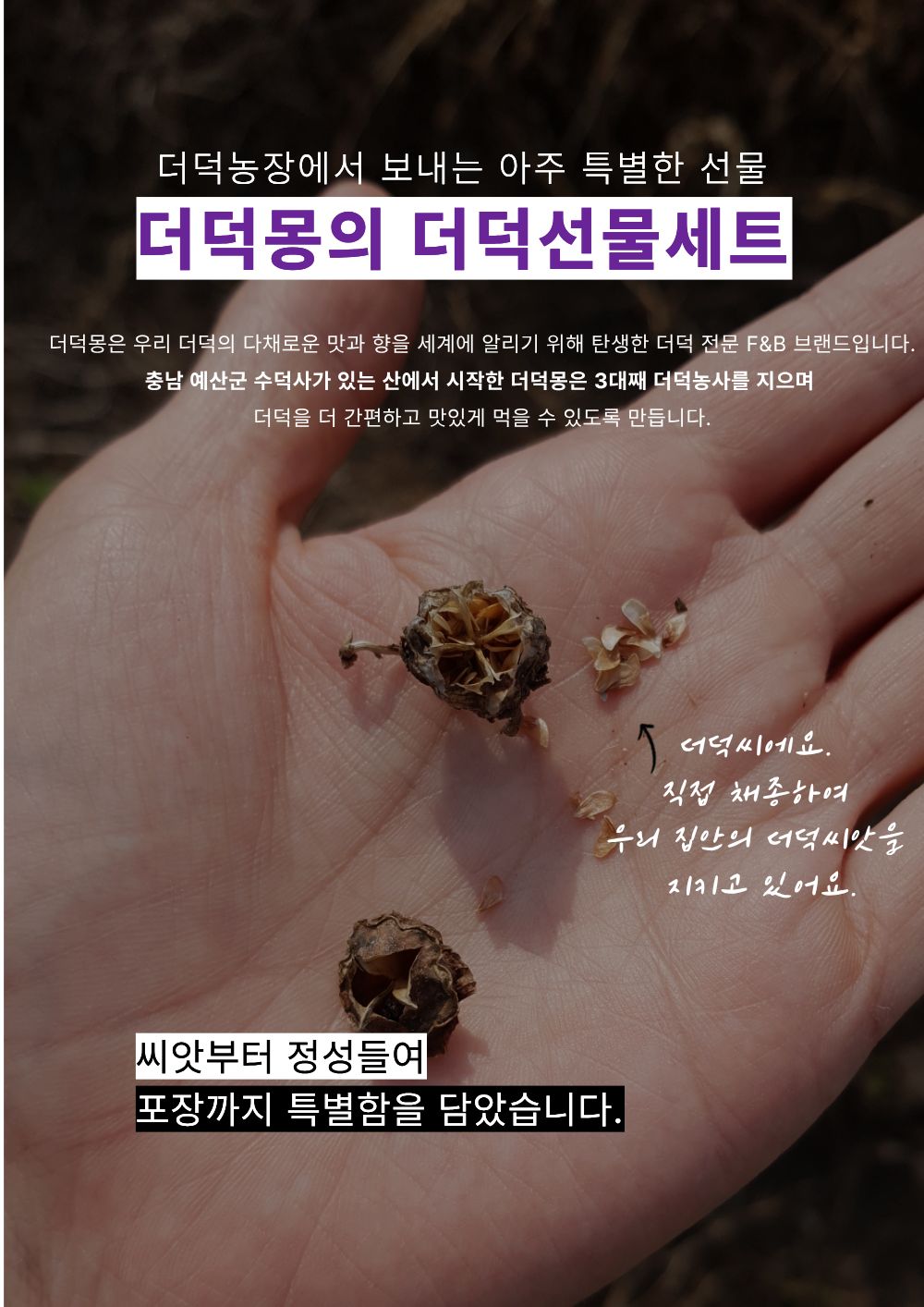 [답례품] 한입더덕정과 세트, 더덕몽