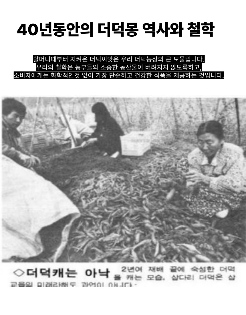 [농장직송] 추석 더덕선물세트 4종, 더덕몽