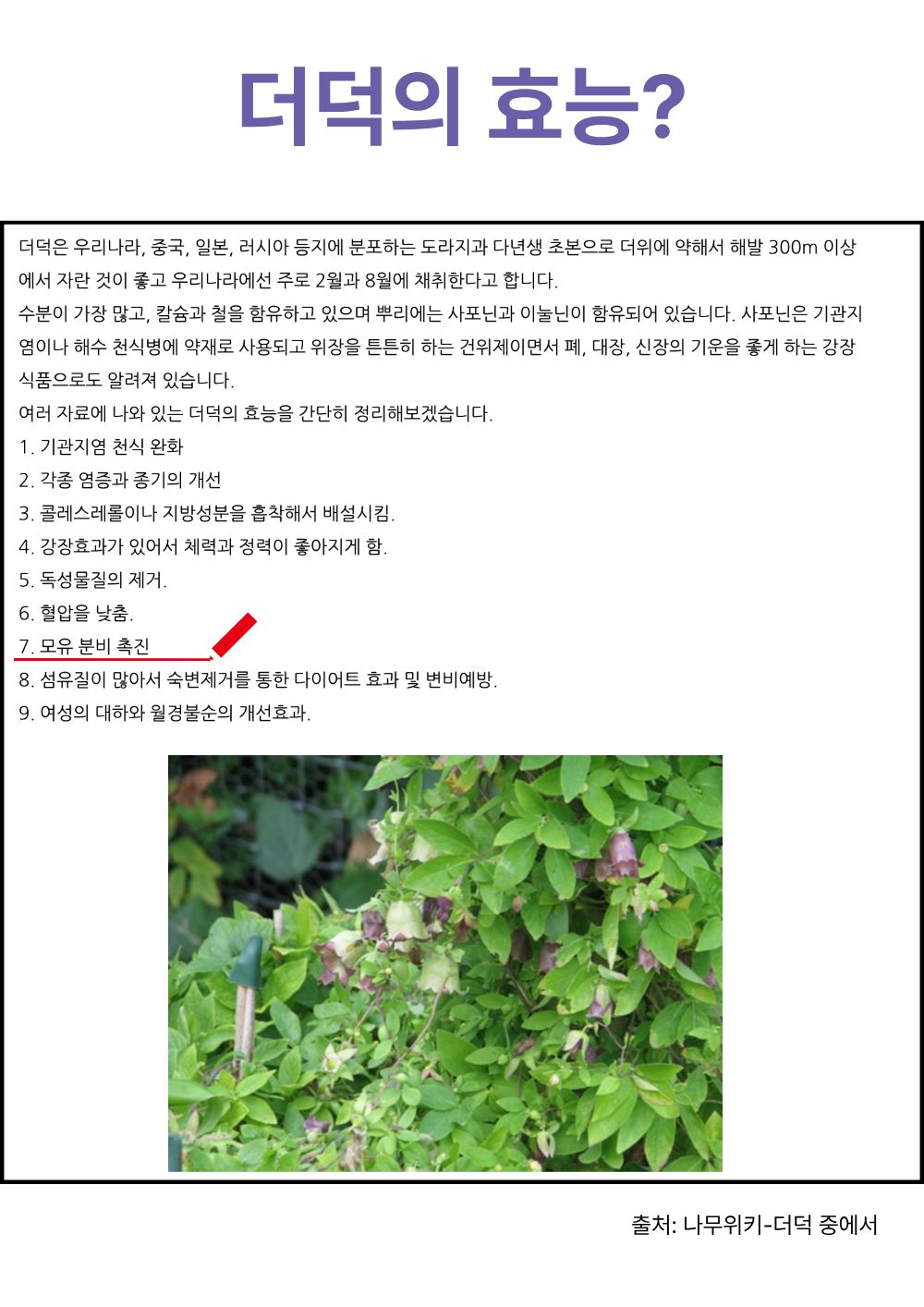 [농장직송]더덕라떼 스틱 20g x 10개입 [더덕몽]