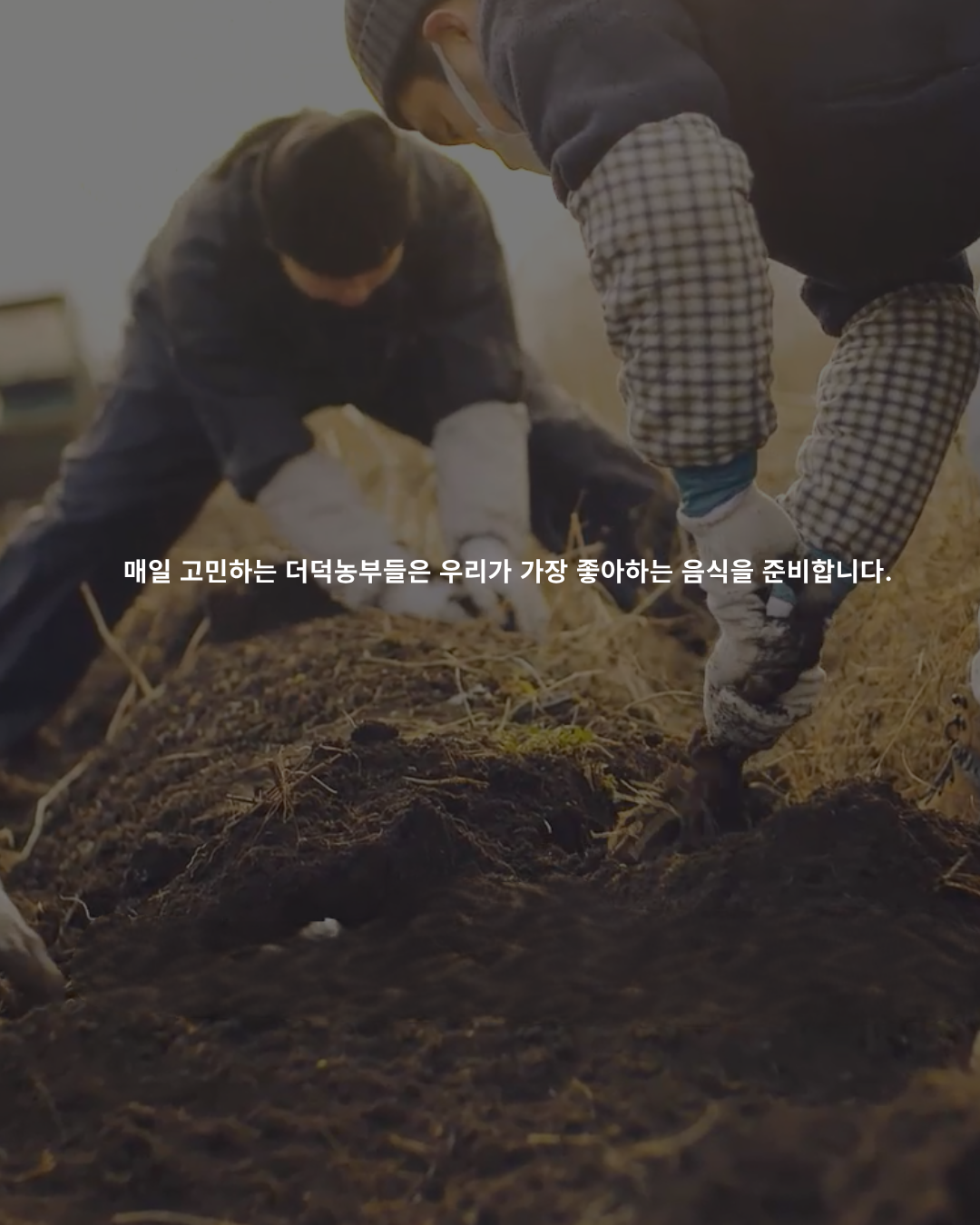 [농장직송]더덕구이 더덕무침 더덕몽 200g 3인분(400g 600g 1kg)