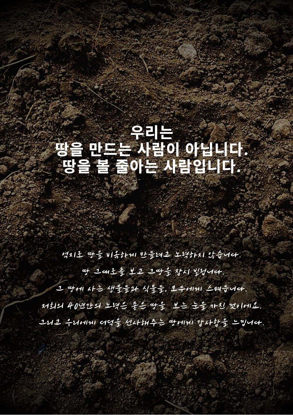 [답례품] 한입더덕정과 세트, 더덕몽