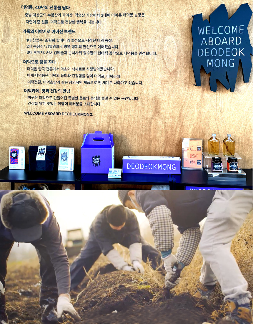 [농장직송] 추석 더덕선물세트 4종, 더덕몽