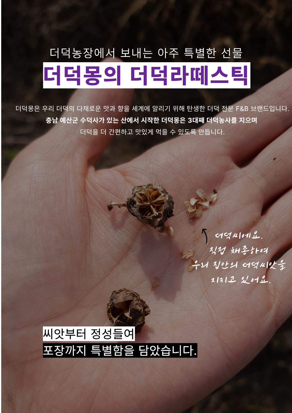 [농장직송]업소용 더덕라떼 베이스 20g [더덕몽]