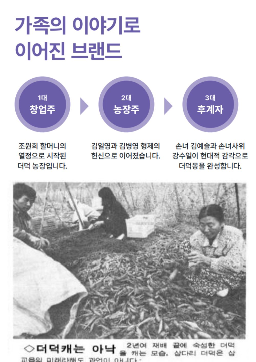 [농장직송]더덕라떼 베이스 20g [더덕몽]