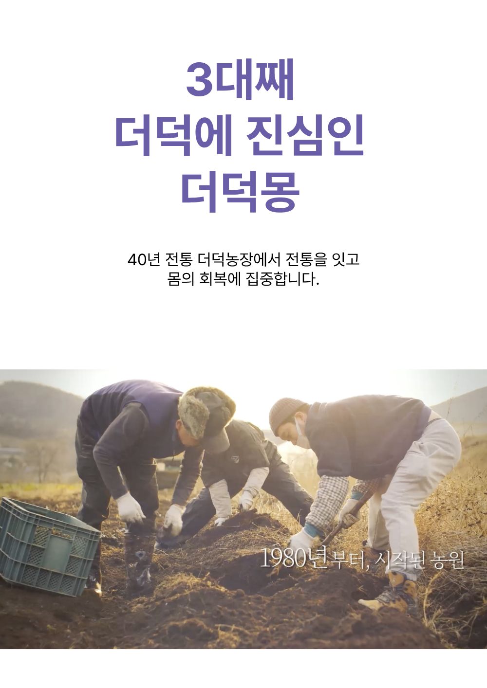 [농장직송]더덕라떼 베이스 20g [더덕몽]